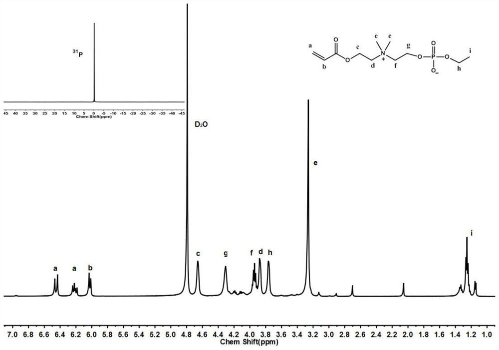 Phosphocholine monomer and polymer and application thereof