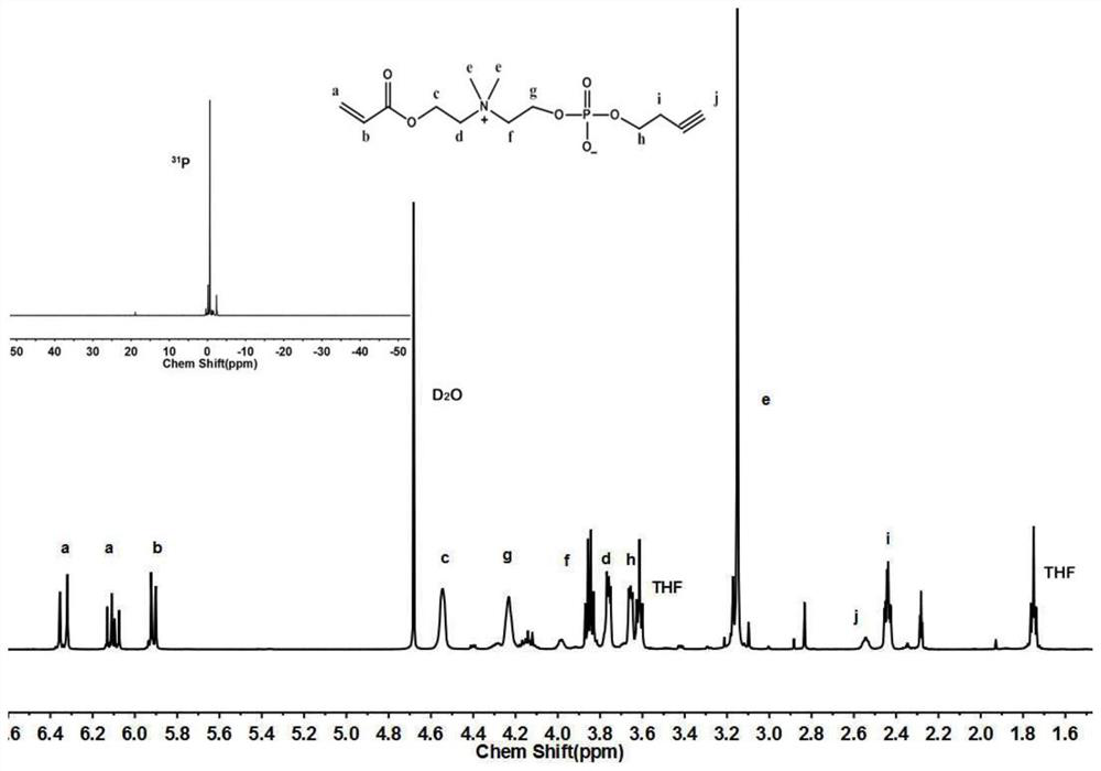 Phosphocholine monomer and polymer and application thereof