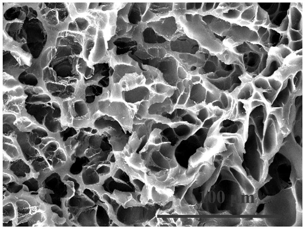 Phosphocholine monomer and polymer and application thereof