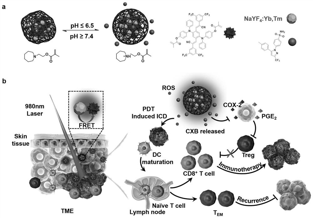 Preparation method and application of near-infrared excitation composite photosensitive nanoparticles capable of delivering active pharmaceutical substances