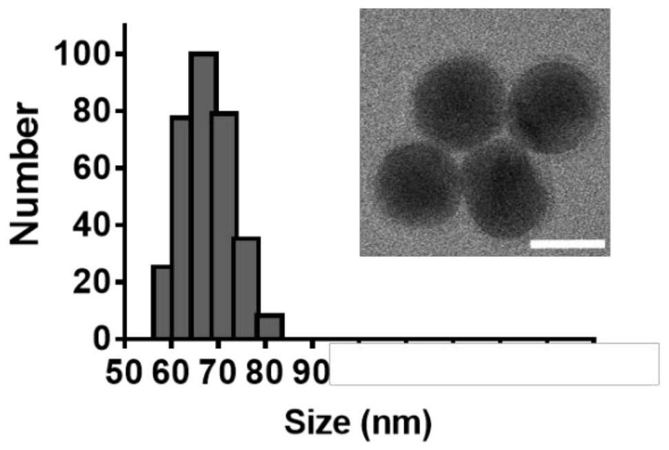 Preparation method and application of near-infrared excitation composite photosensitive nanoparticles capable of delivering active pharmaceutical substances