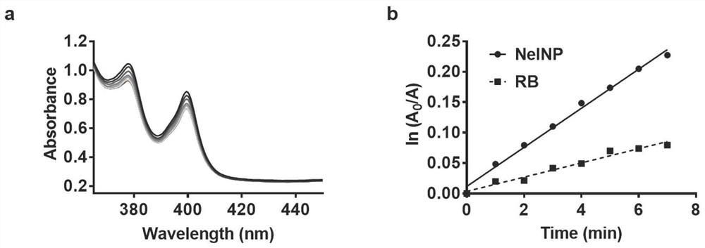 Preparation method and application of near-infrared excitation composite photosensitive nanoparticles capable of delivering active pharmaceutical substances