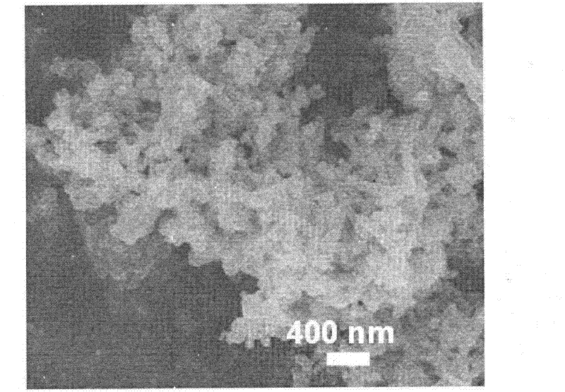 Method for preparing surfactant-directed grown superfine bismuth molybdate nano rods