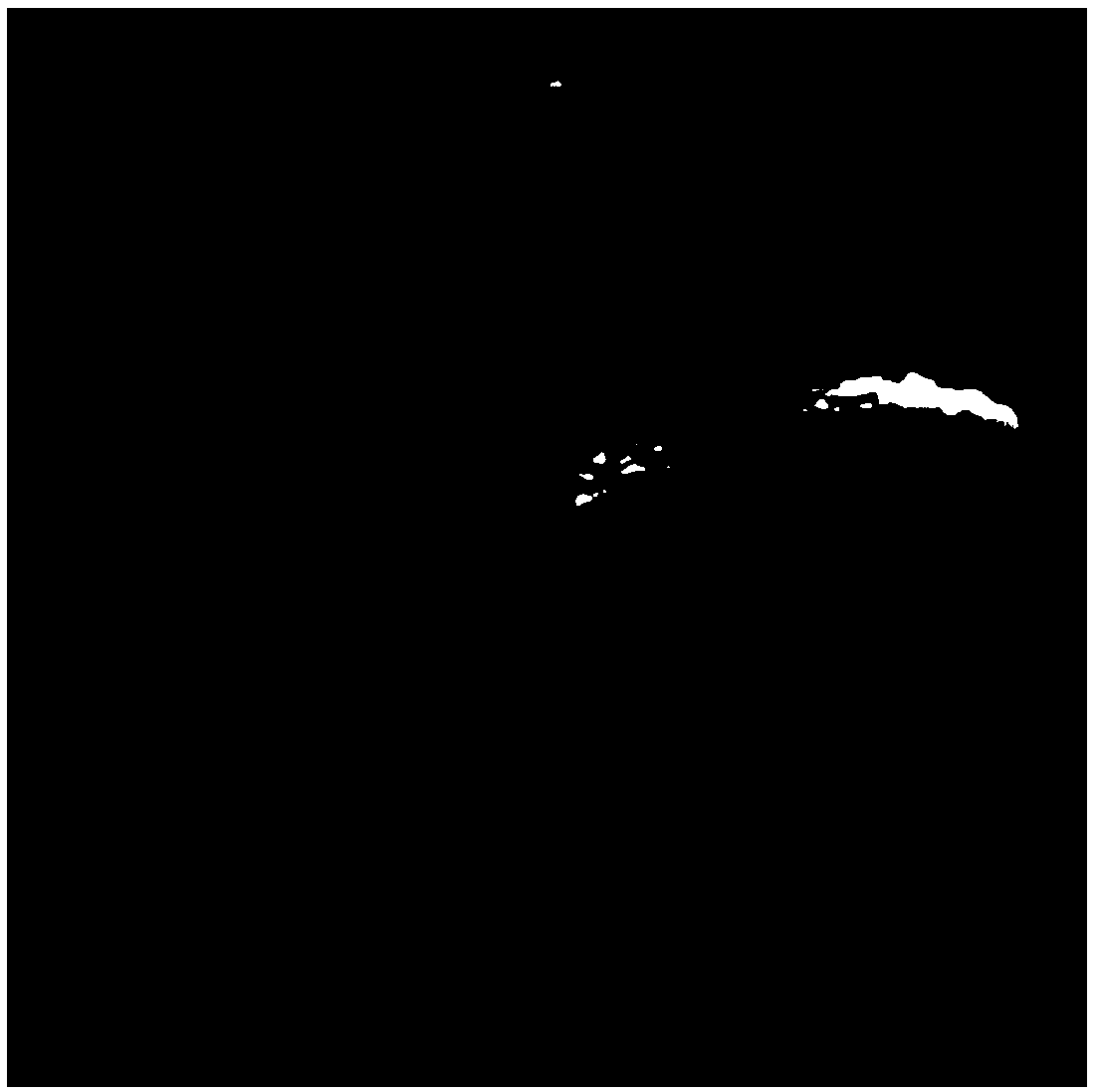 Yolk-shell-structure cryptomelane-type manganese dioxide catalyst as well as preparation method and application thereof