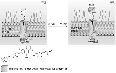 A method of using supramolecular inclusion agent to close the antibacterial agent activity in collagen solution