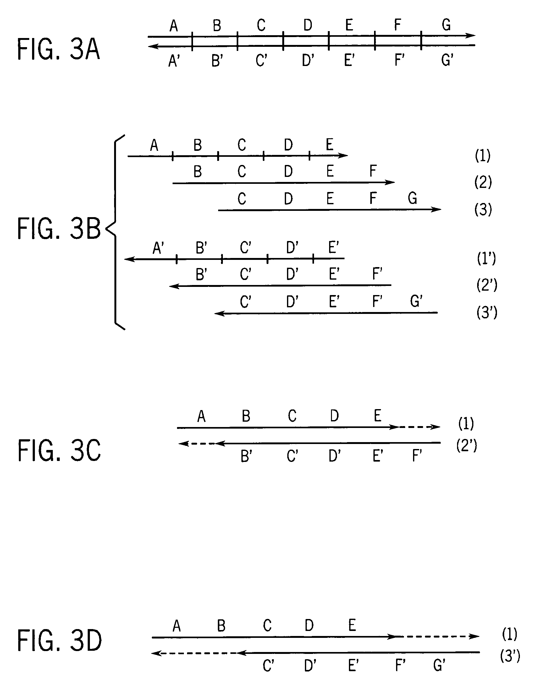 Methods for high fidelity production of long nucleic acid molecules