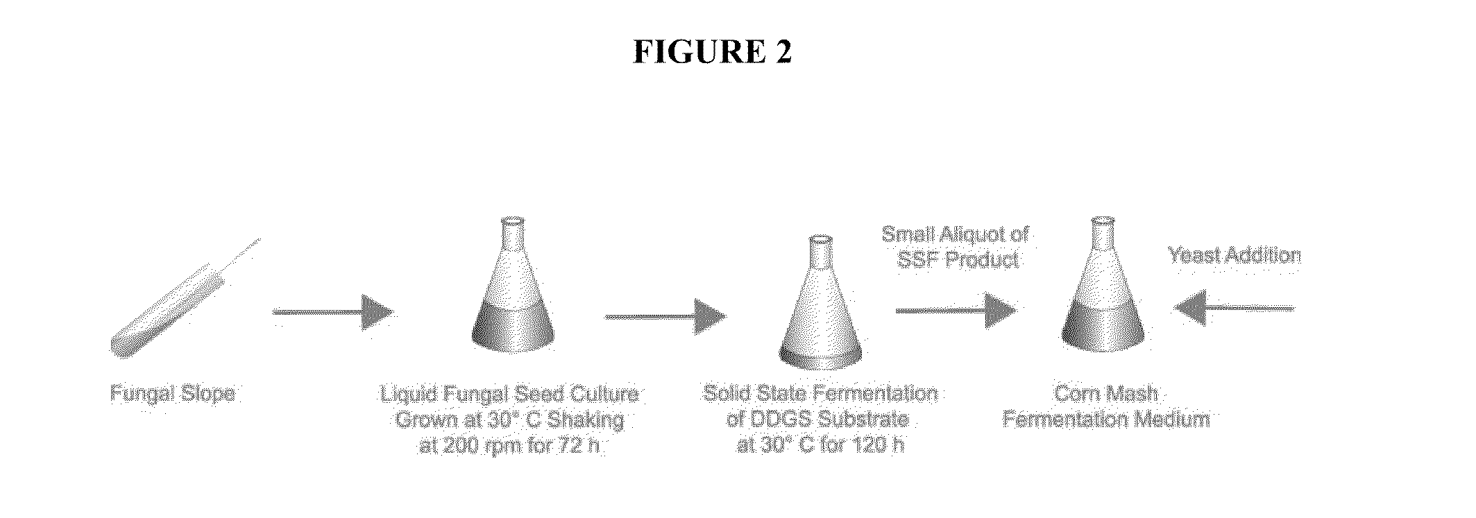 Compositions and methods for conversion of lignocellulosic material to fermentable sugars and products produced therefrom