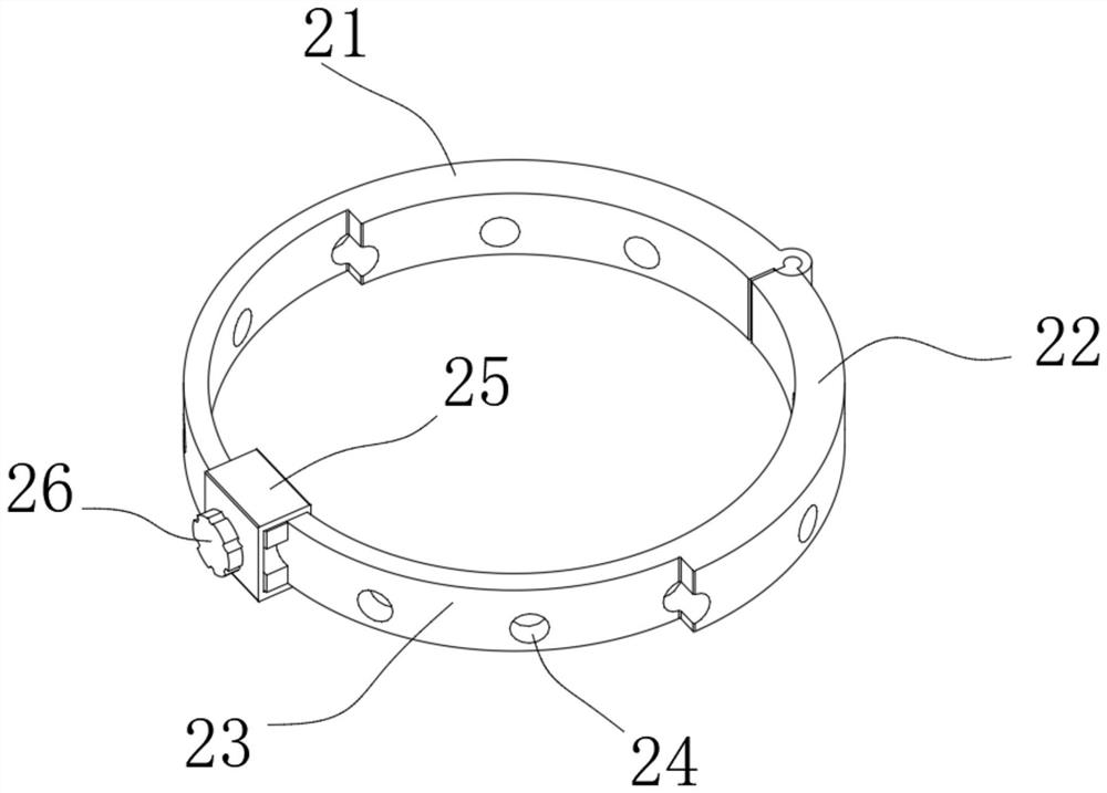 Drip irrigation type dendrobium planting device and drip irrigation method