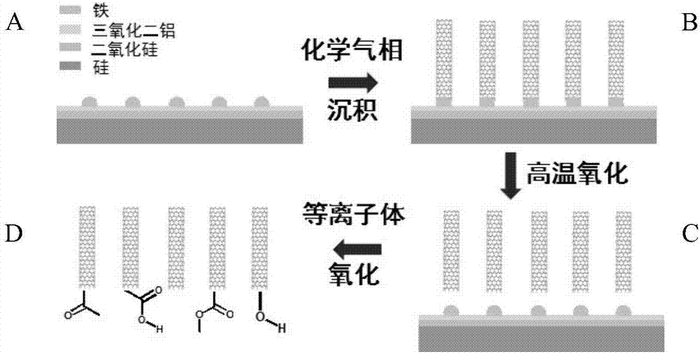 Solar seawater desalination or sewage treatment method based on carbon nano-tube film