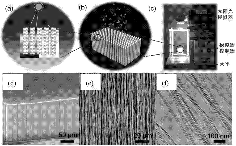 Solar seawater desalination or sewage treatment method based on carbon nano-tube film