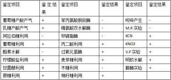 Klebsiella pneumoniae, bacterium agent of klebsiella pneumoniae and preparation method and application