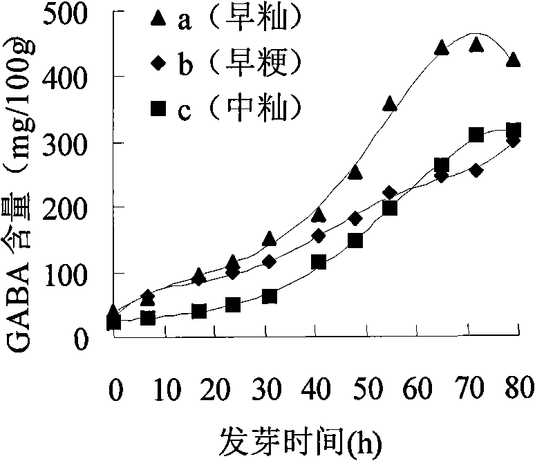 Rice product rich in gamma-aminobutyric acid and method for producing the same