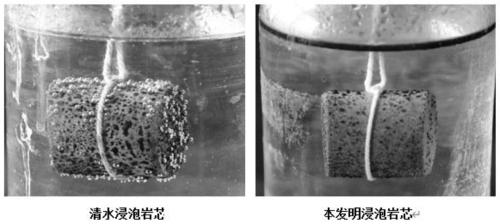 Enzyme seepage agent for improving performance of guar gum fracturing fluid and application of enzyme seepage agent