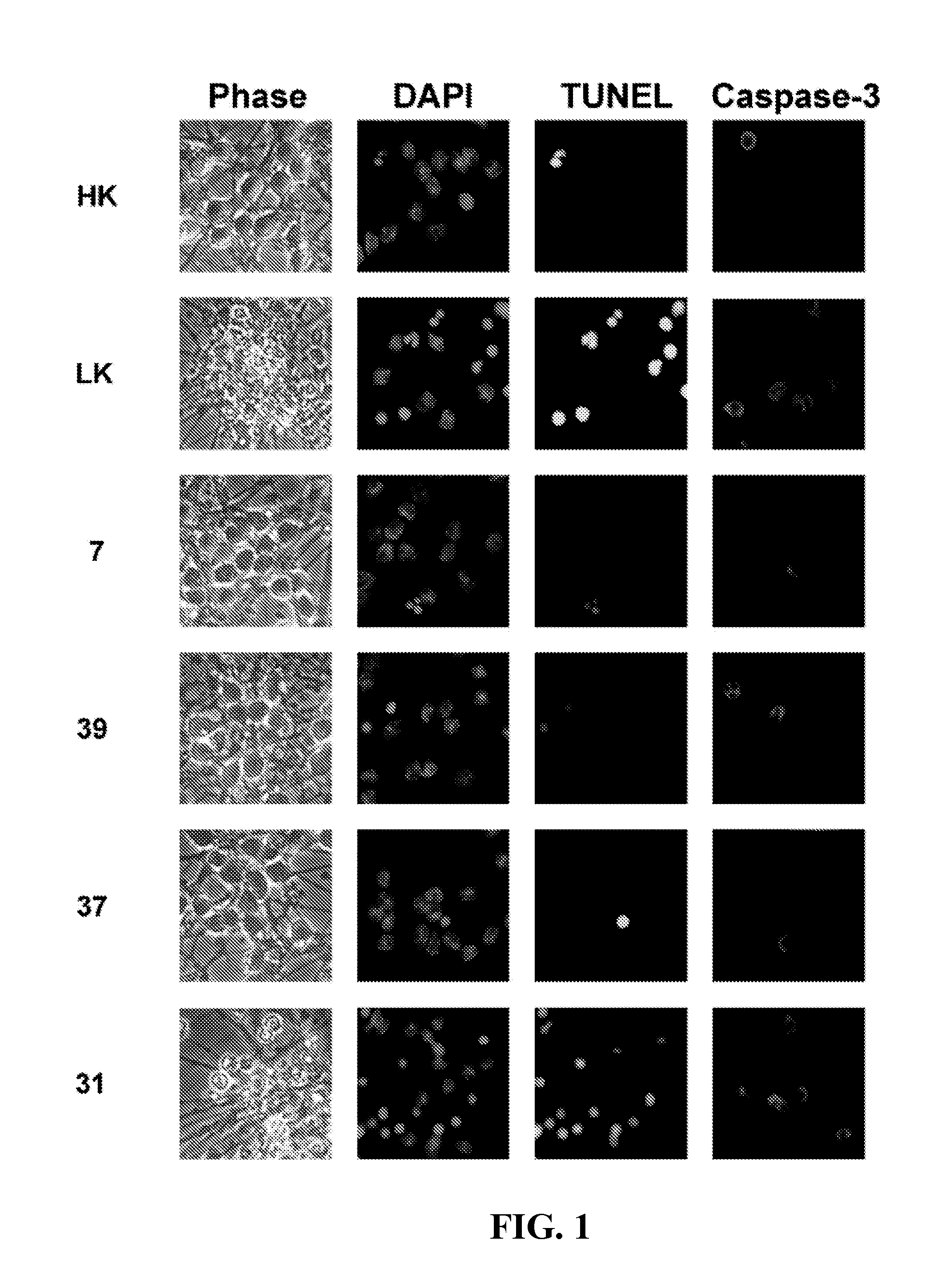 Use of neuroprotective 3-substituted indolone compositions