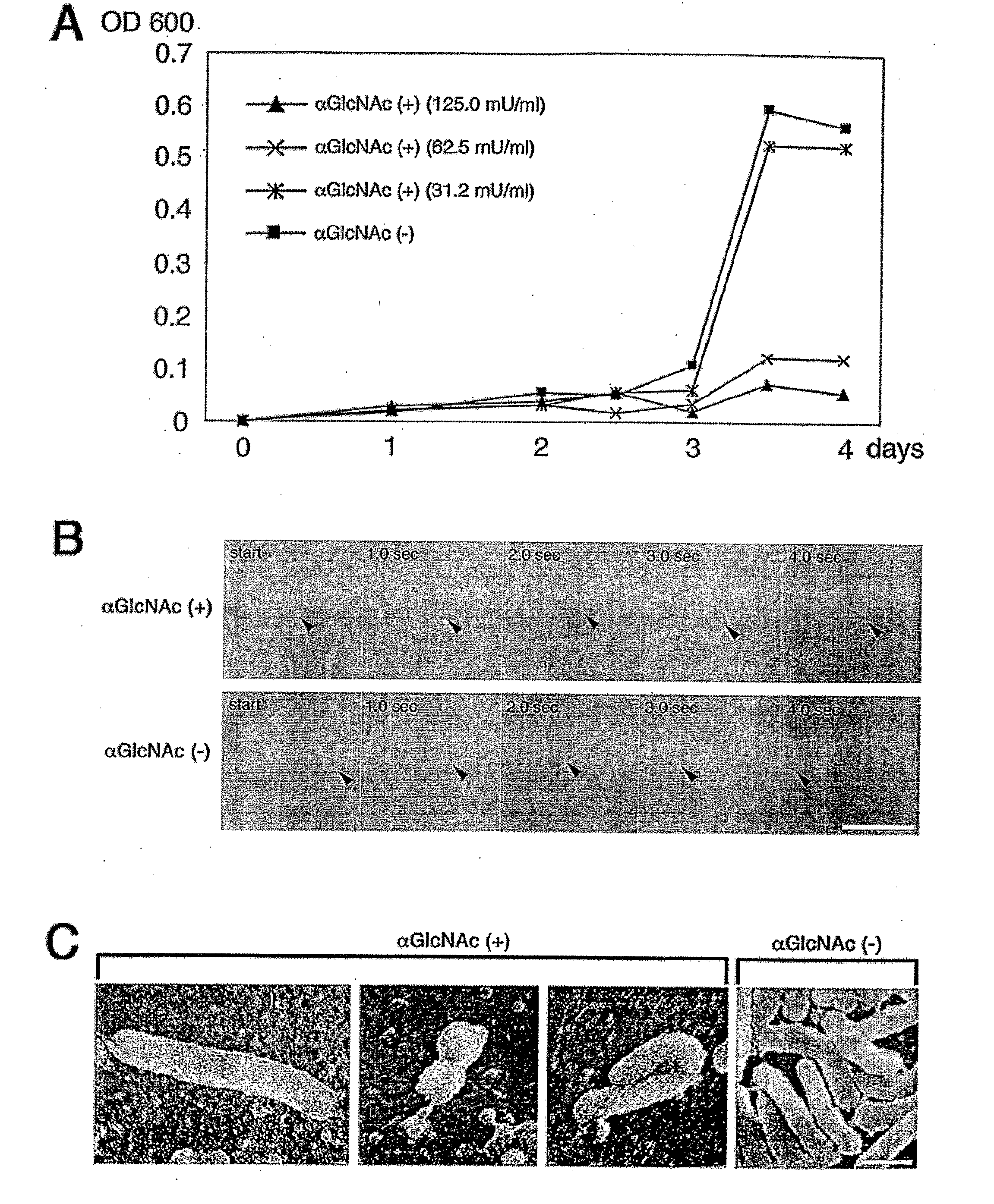Antimicrobial Carbohydrates and Methods of Using Same