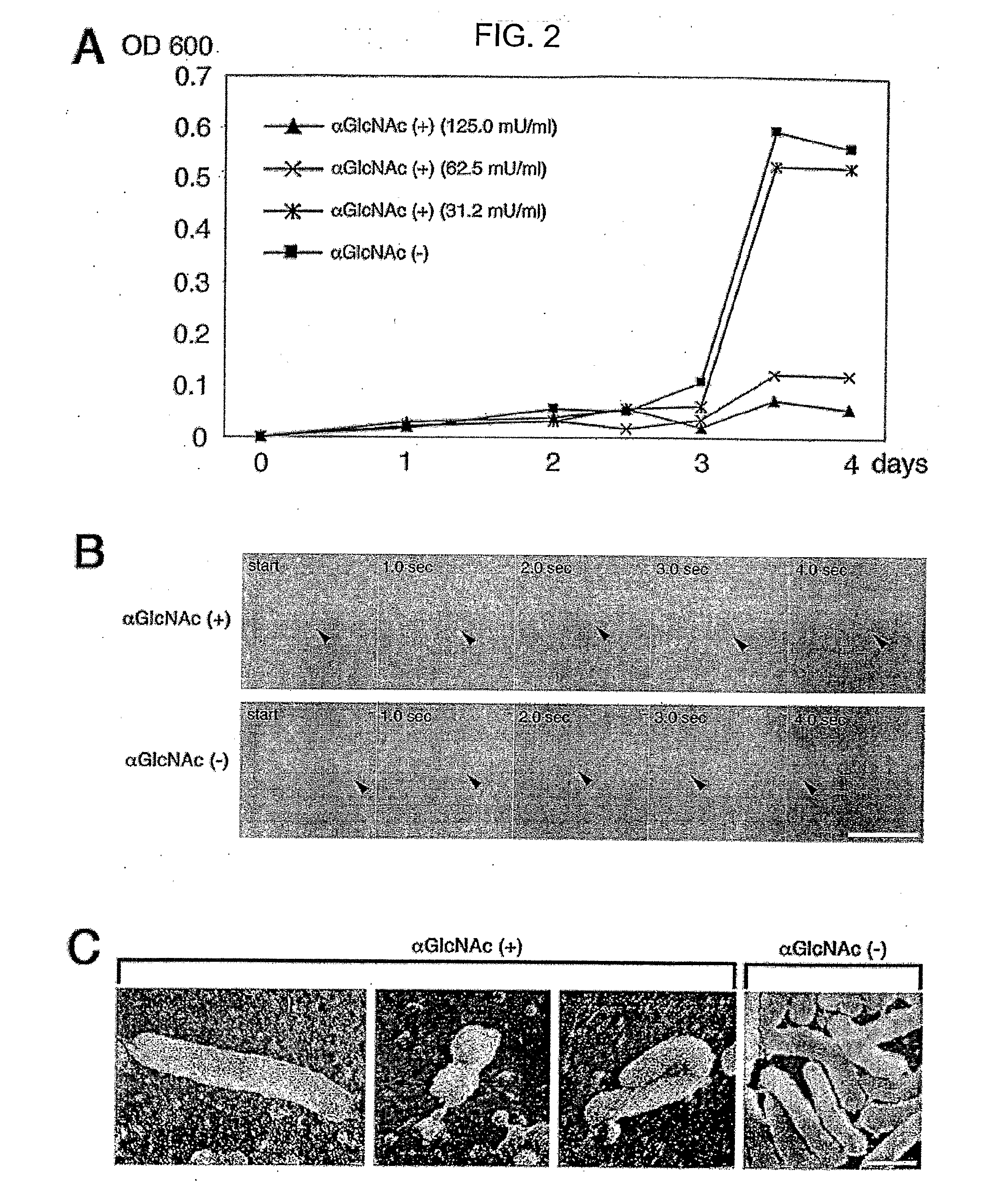 Antimicrobial Carbohydrates and Methods of Using Same