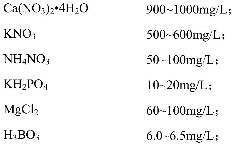 Device and method for inducing root surface of emergent aquatic plants to be coated with manganese films