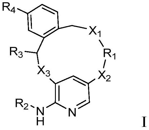 Macrocyclic JAK2 inhibitor and application thereof