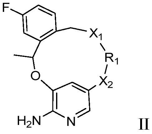 Macrocyclic JAK2 inhibitor and application thereof