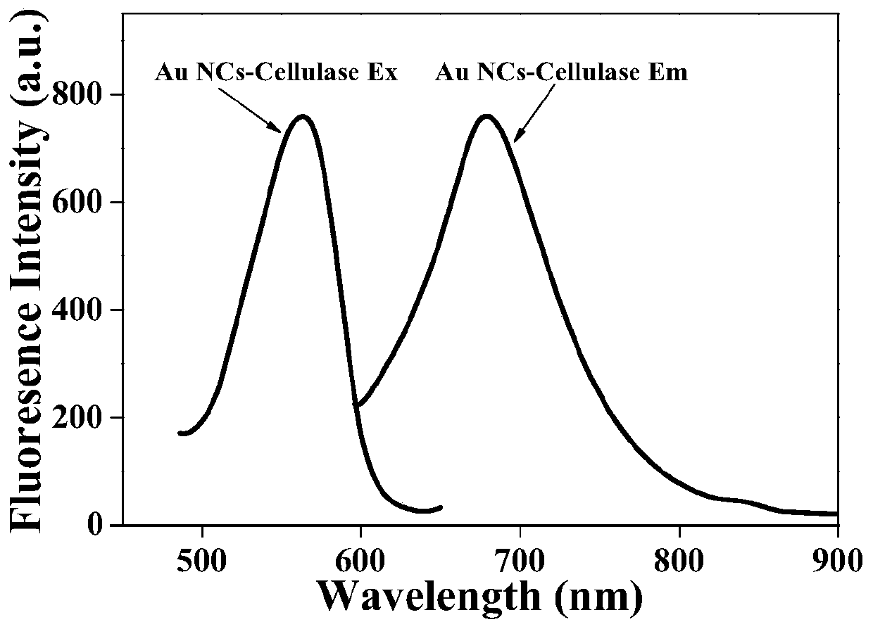 Fluorescent gold nano-cluster taking cellulase as template and preparation method and application of fluorescent gold nano-cluster