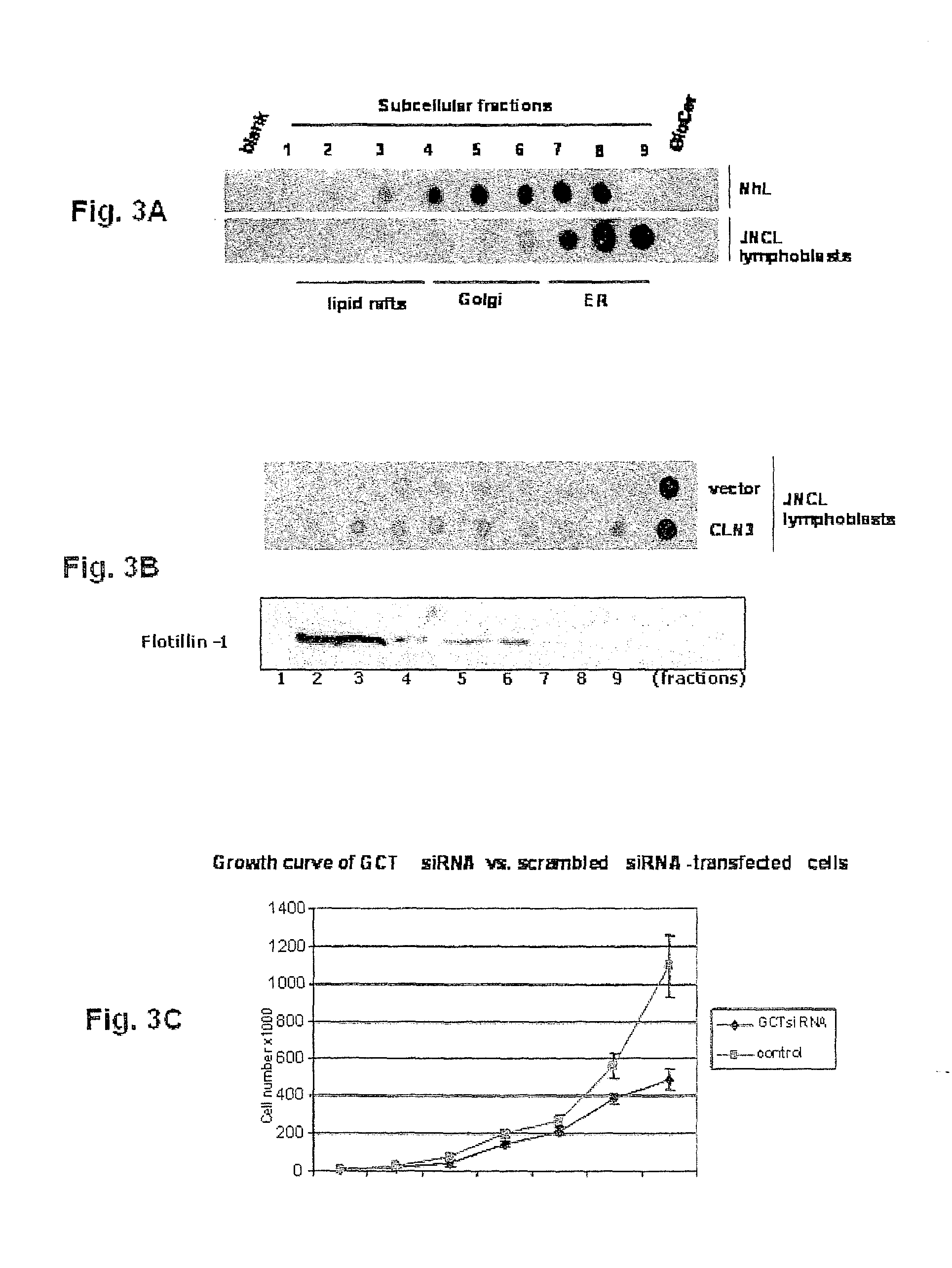 Methods and compositions for treating disorders caused by a deficiency in a gene product of a cln gene