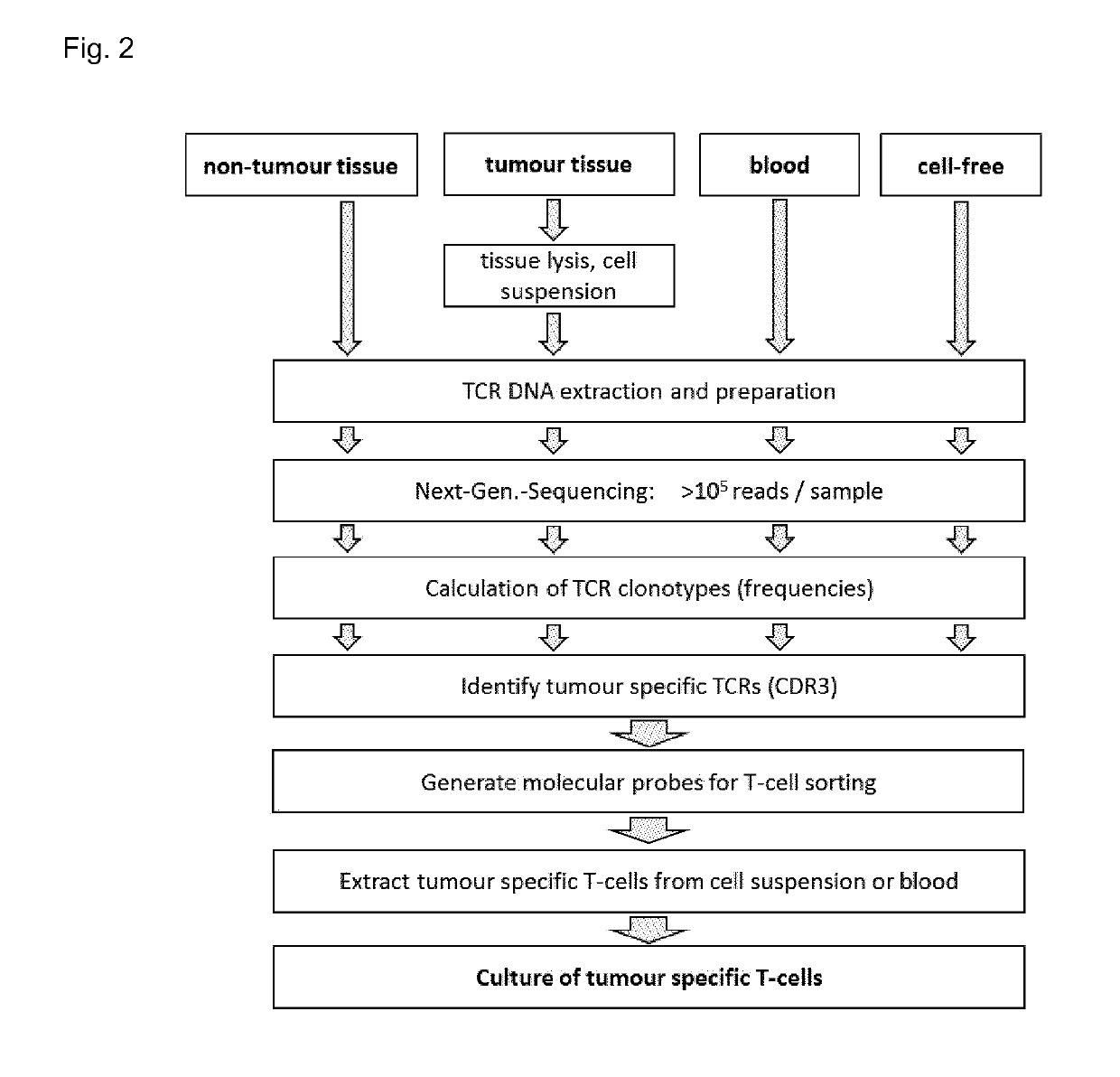 Method for providing tumour-specific t cells