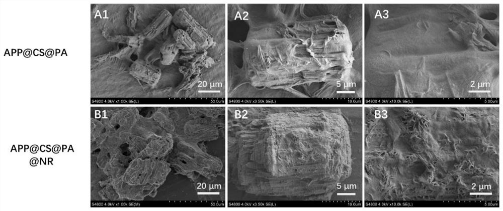 Bio-based intumescent flame retardant with dual functions of flame retardance and toughening as well as preparation method and application of bio-based intumescent flame retardant