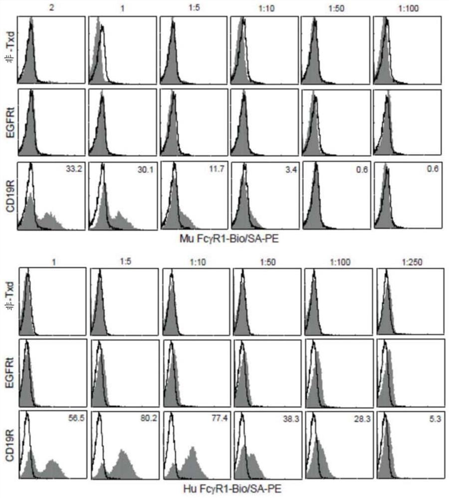 Chimeric antigen receptors (cars) with mutations in the fc spacer region and methods of use thereof