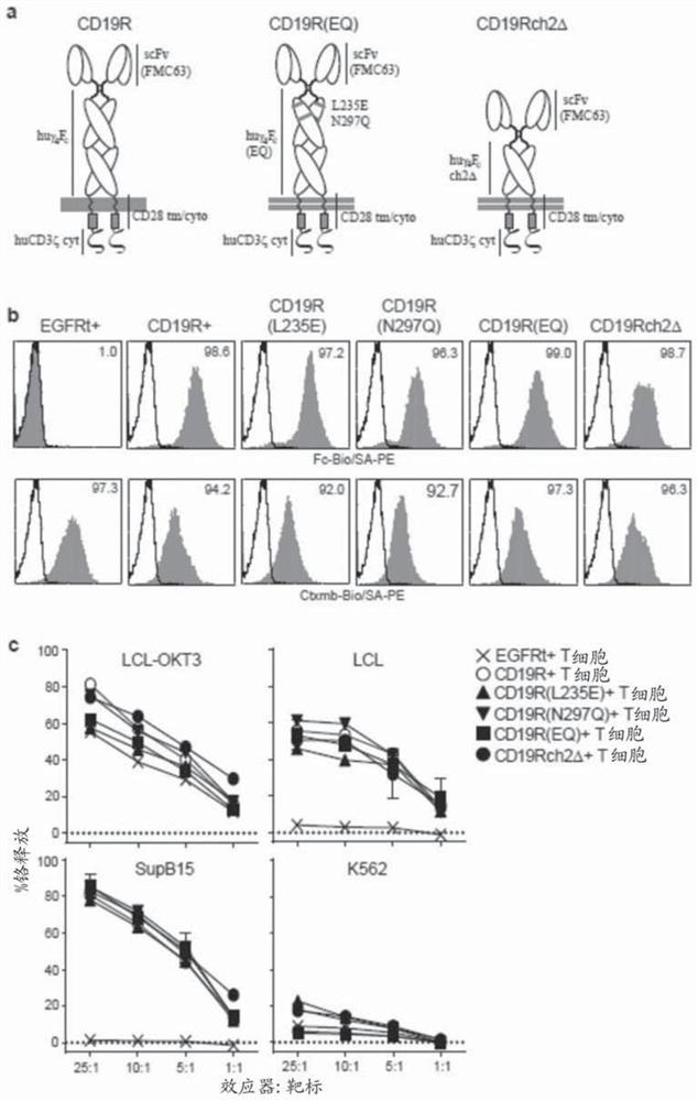 Chimeric antigen receptors (cars) with mutations in the fc spacer region and methods of use thereof