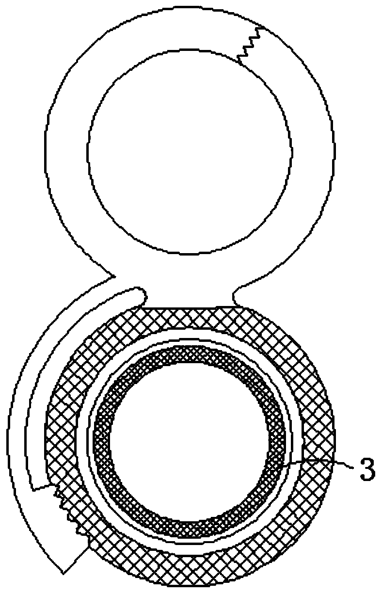 Fixing device for fixing catheters