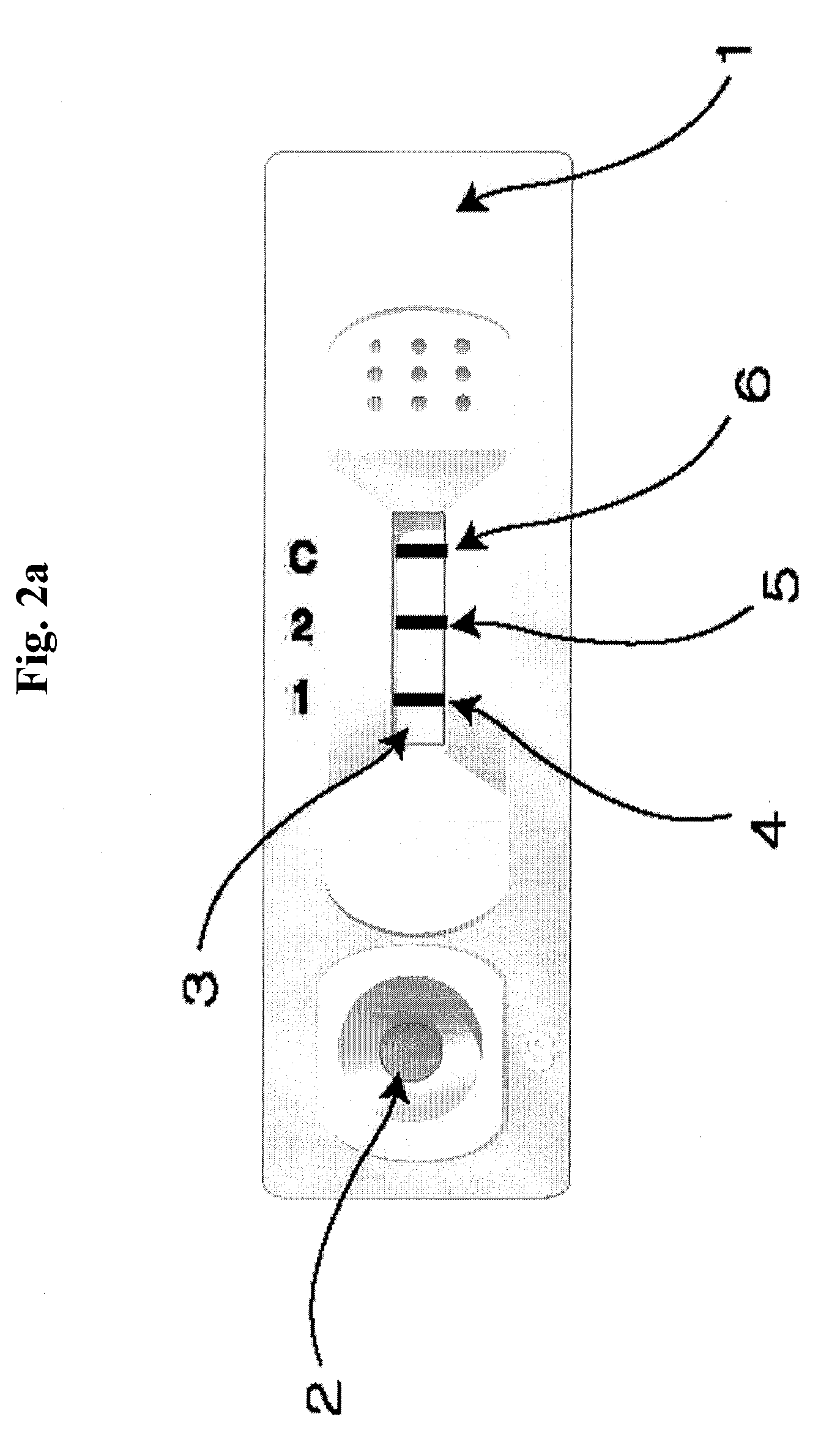 Diagnose device for measuring the ratio of proteins with similar structure