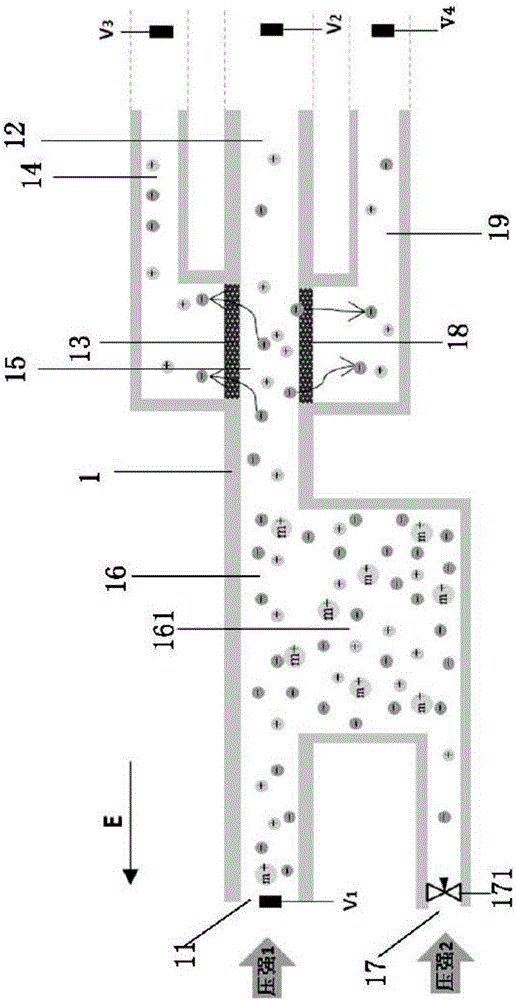 Enrichment device for trace multivalent cations