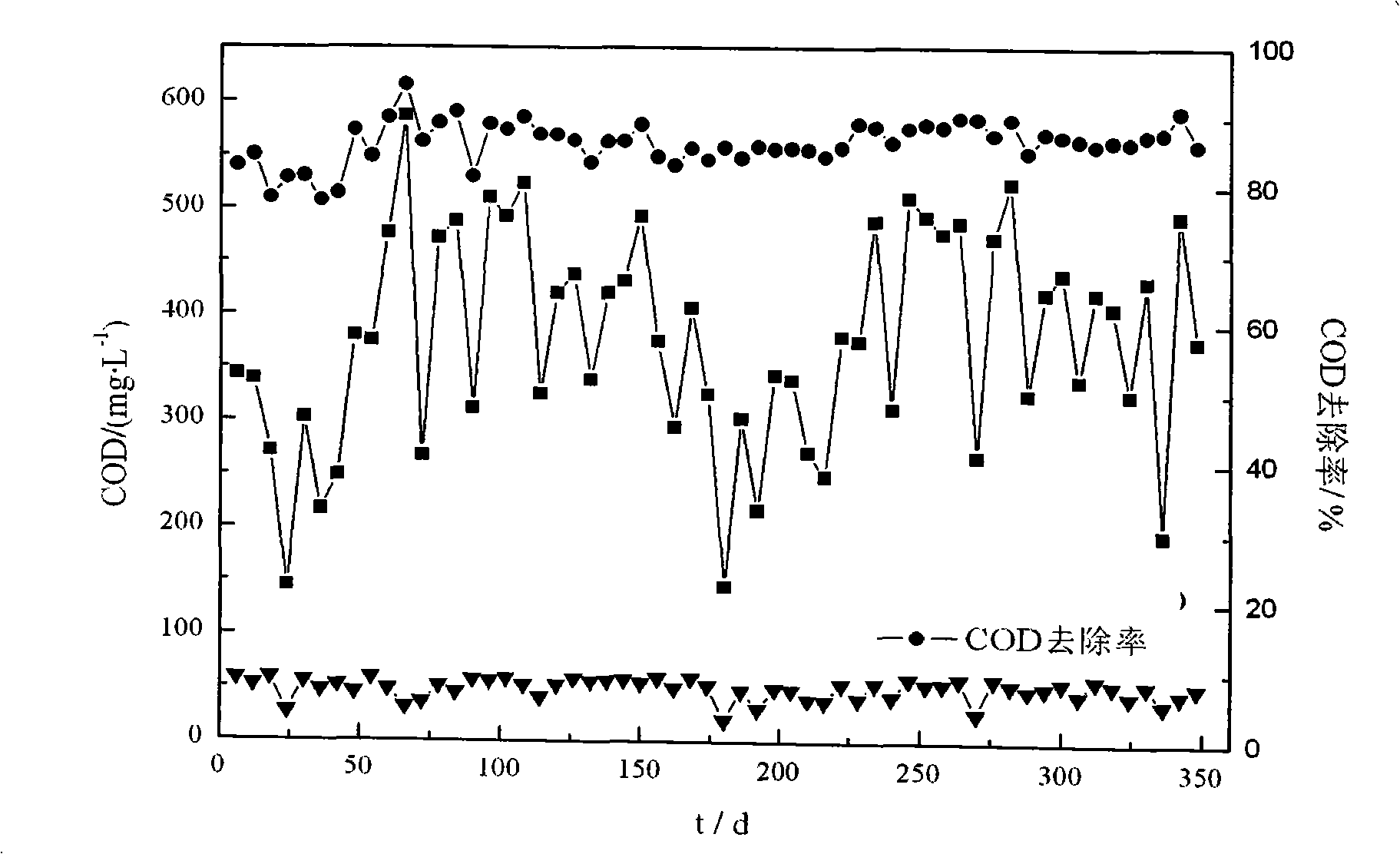 Method for preparing immobilization cold resistant strain