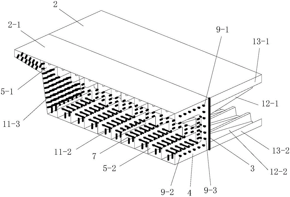 A Cellless Steel-Concrete Combined Segment Structure of a Hybrid Beam Bridge