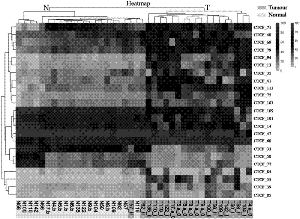 Application of DNA binding site CTCF_33 for multifunctional transcriptional regulatory factor CTCF