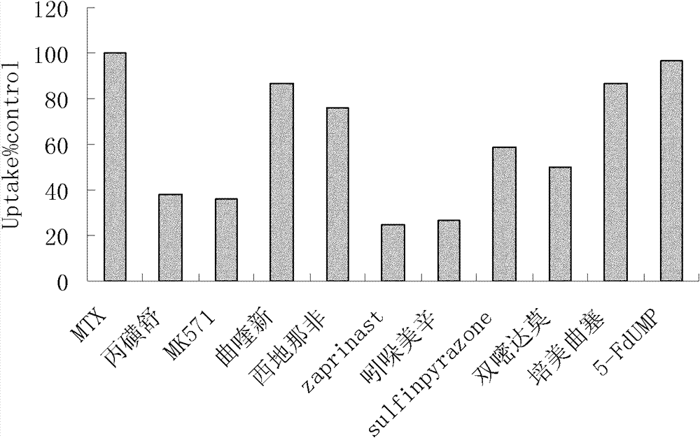 Application of methotrexate and ABC inhibitor to preparation of medicament for treating psoriasis