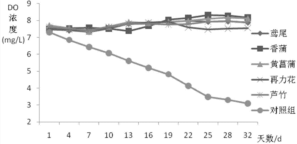 Method for purifying eutrophic landscape water body on planted floating bed