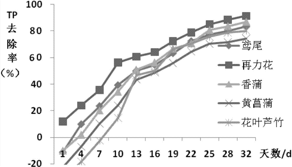 Method for purifying eutrophic landscape water body on planted floating bed