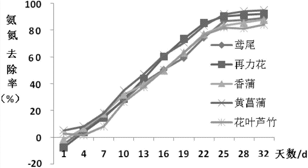 Method for purifying eutrophic landscape water body on planted floating bed