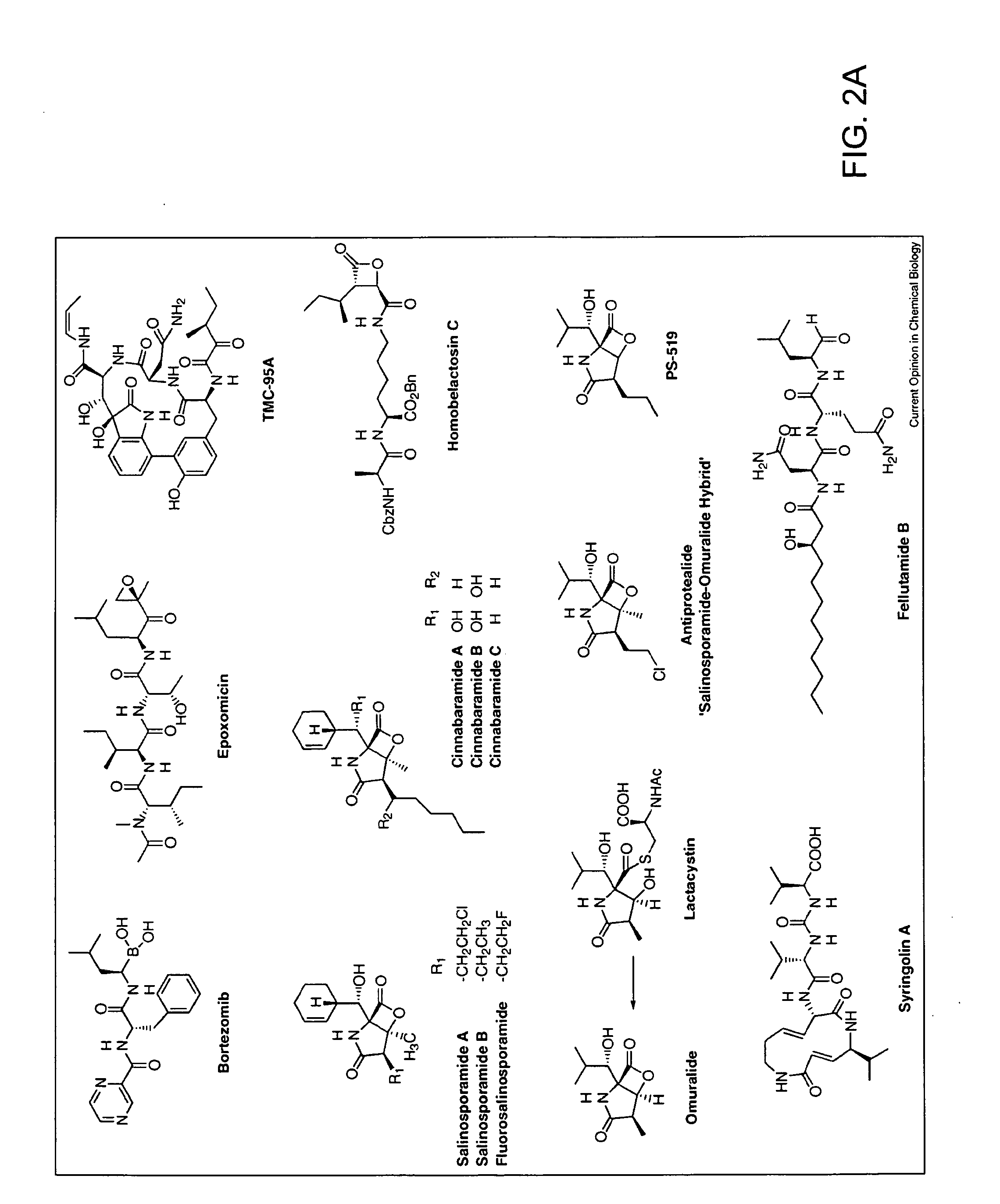 Method of treating patients undergoing protein replacement therapy, gene replacement therapy, or other therapeutic modalities