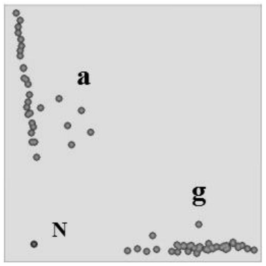 The kasp primer set associated with resistance to scab in wheat and its application