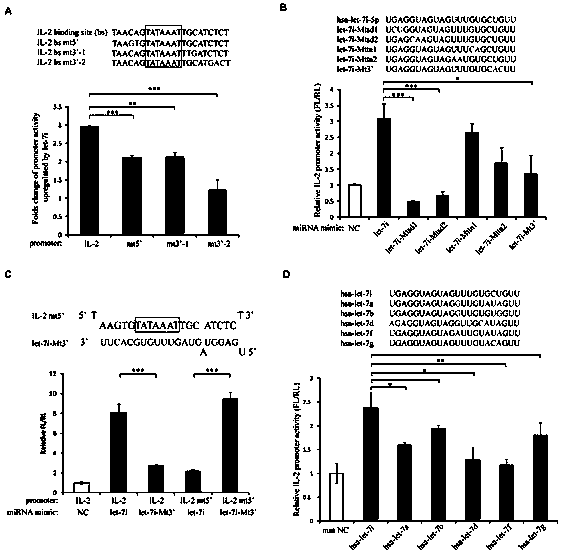 Small molecule RNA, preparation method thereof and application in pharmaceuticals for transcriptional activity of specificity up-regulated genes
