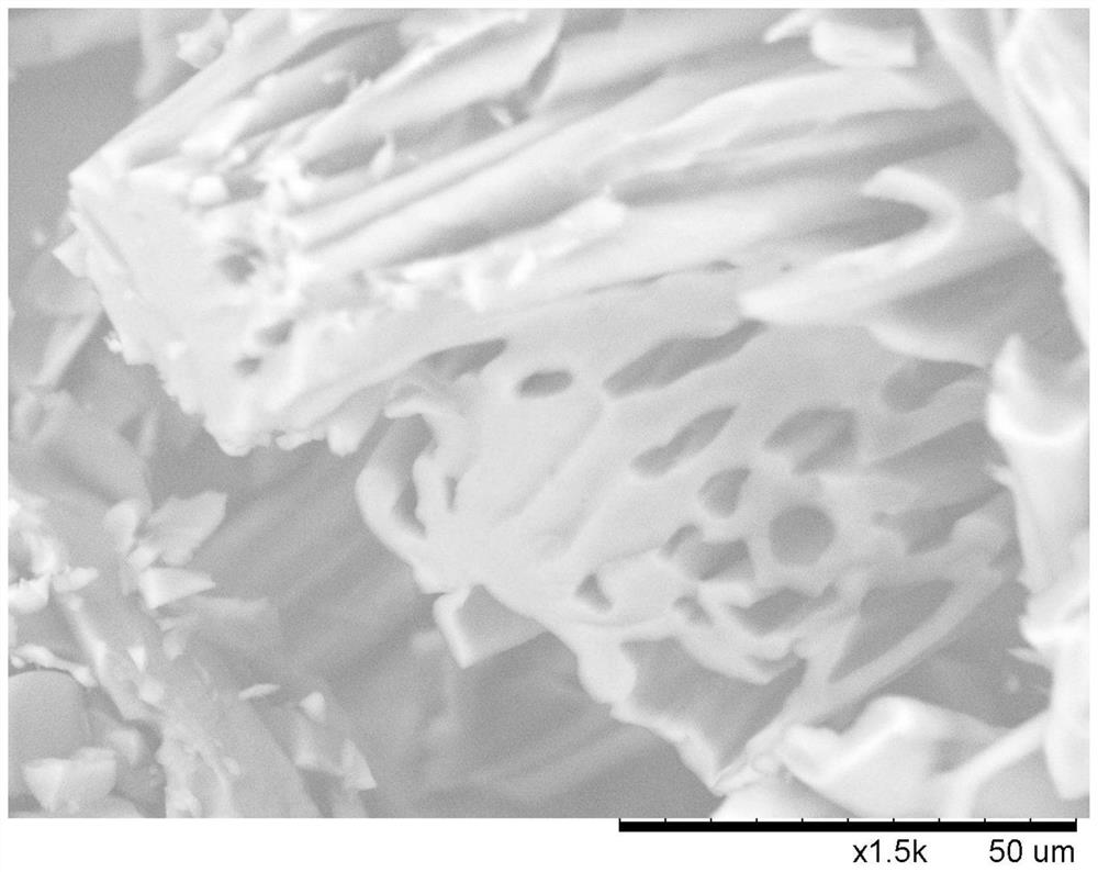 Preparation method and application of nitrogen-doped activated carbon fibrofelt