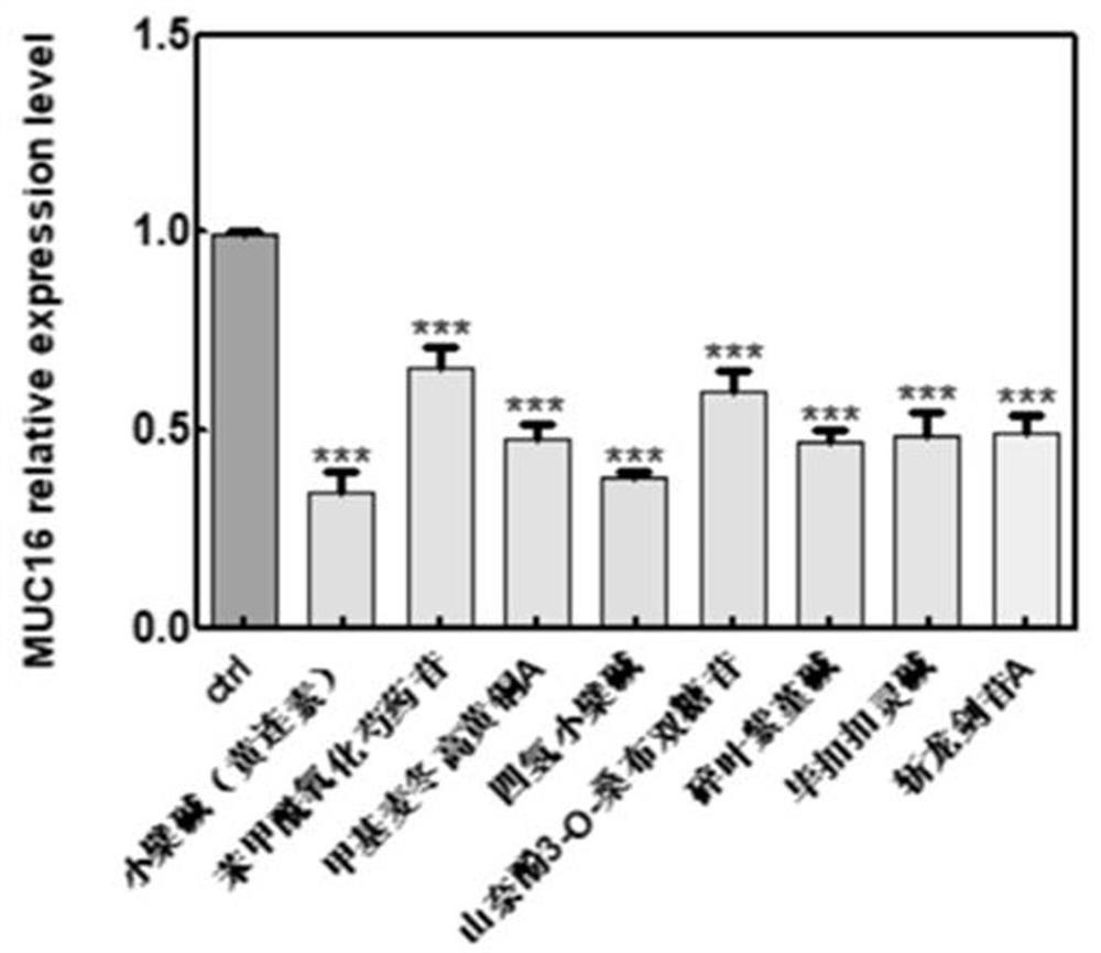 Substance for improving lethality of immune cells as well as preparation and application of substance