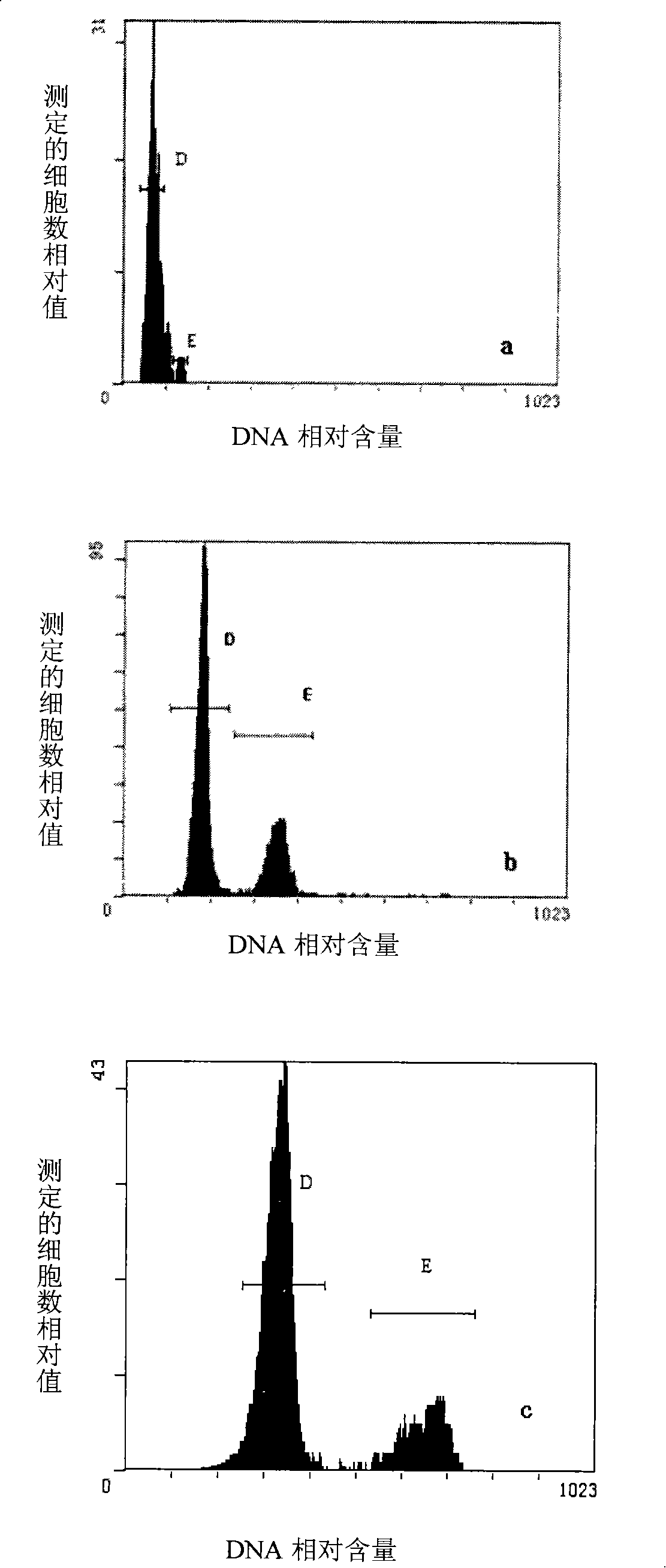 Breeding process of obtaining radish haploidy