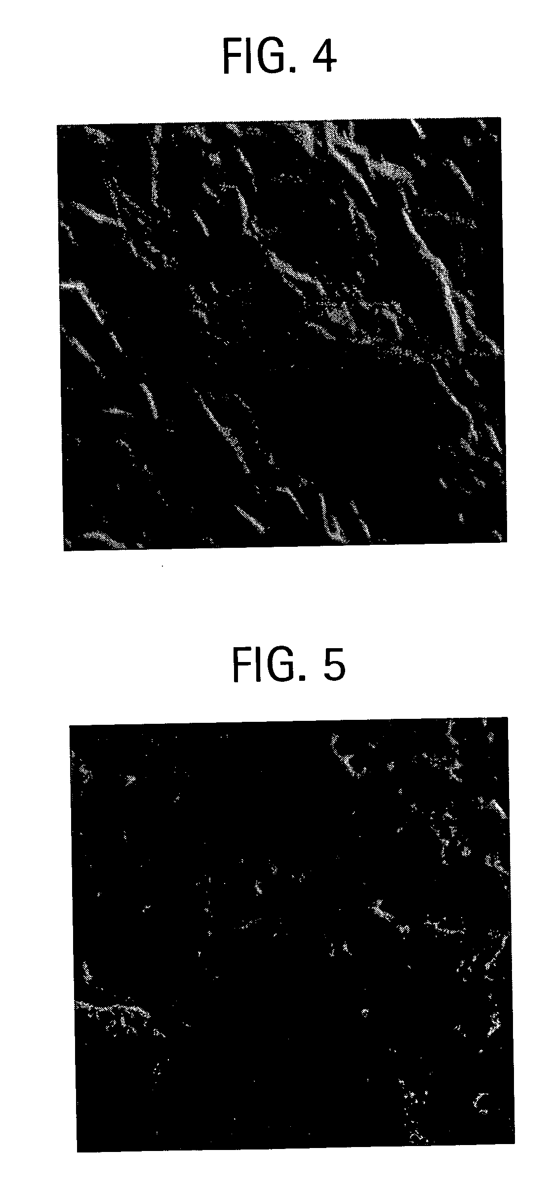 Composite refractory metal carbide coating on a substrate and method for making thereof