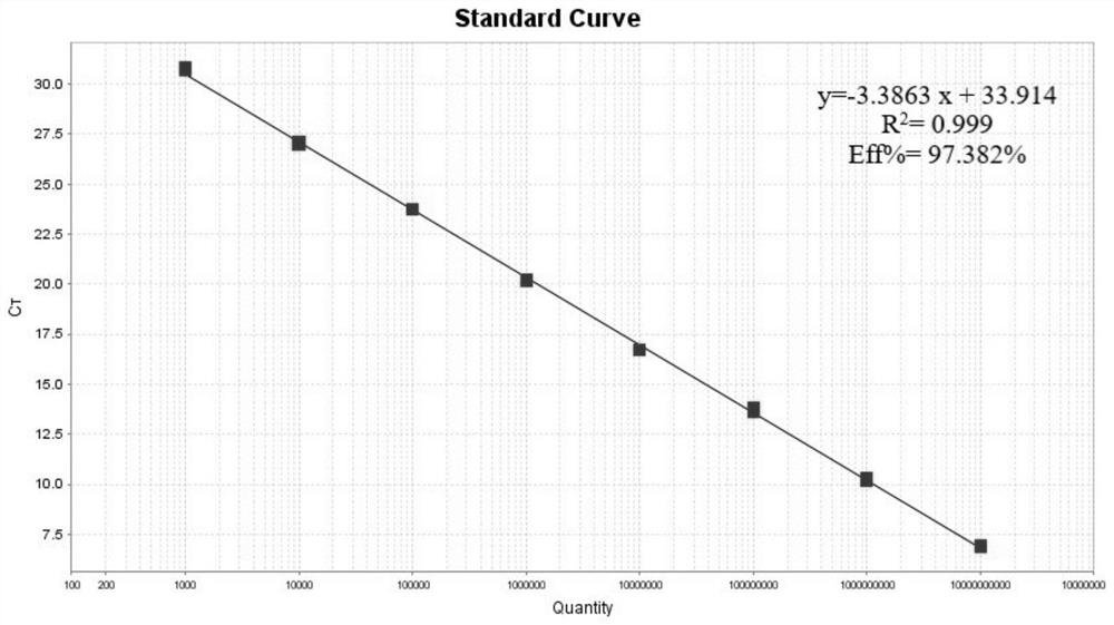 Detection method for detecting bovine coronavirus