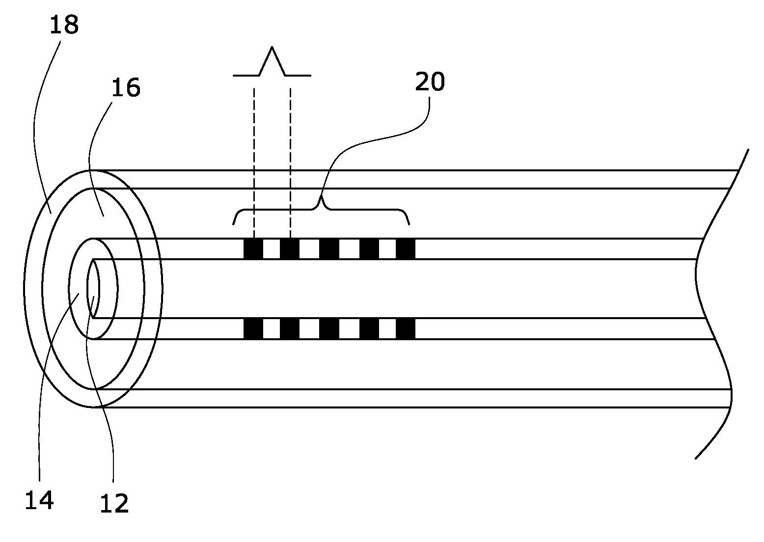 Optical fiber with tin doped core-cladding interface