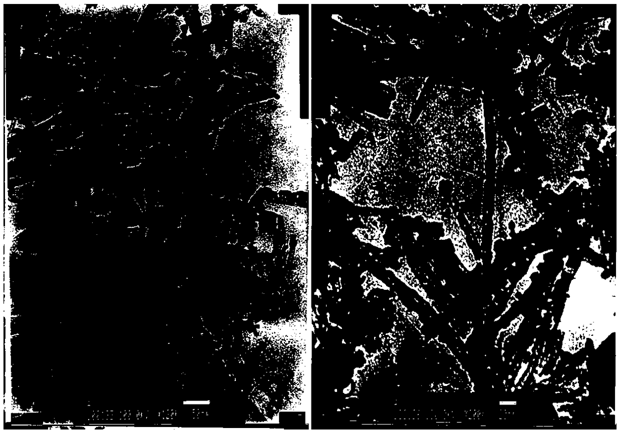 TiO2 nano-tube doped with cobalt element and preparation method thereof and applications