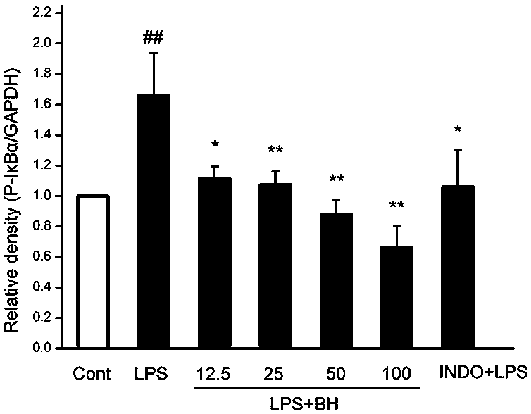 Application of Artemisia marina extract as a drug for the preparation of pneumonia caused by Streptococcus pneumoniae or/and B-hemolytic Streptococcus